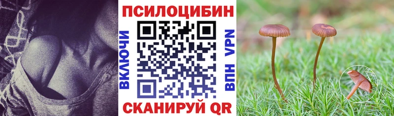 blacksprut зеркало  Верхоянск  Псилоцибиновые грибы Psilocybe 